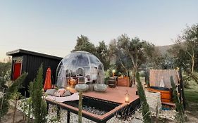 The Vino Dome By Once Upon A Dome Franschhoek